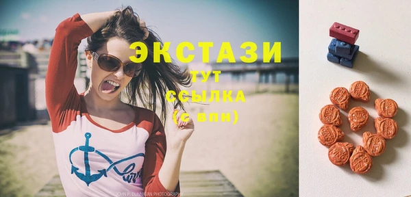 СК Бикин