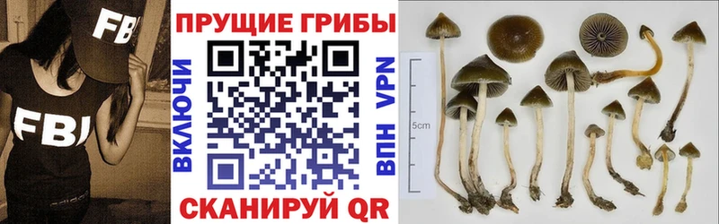 Галлюциногенные грибы GOLDEN TEACHER  где продают наркотики  Кулебаки 