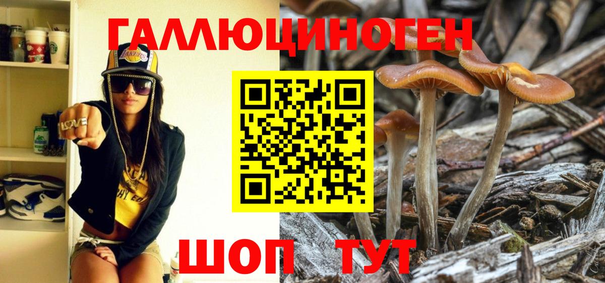 Кулебаки  Галлюциногенные грибы MAGIC MUSHROOMS  где найти наркотики  Вход с VPN 
