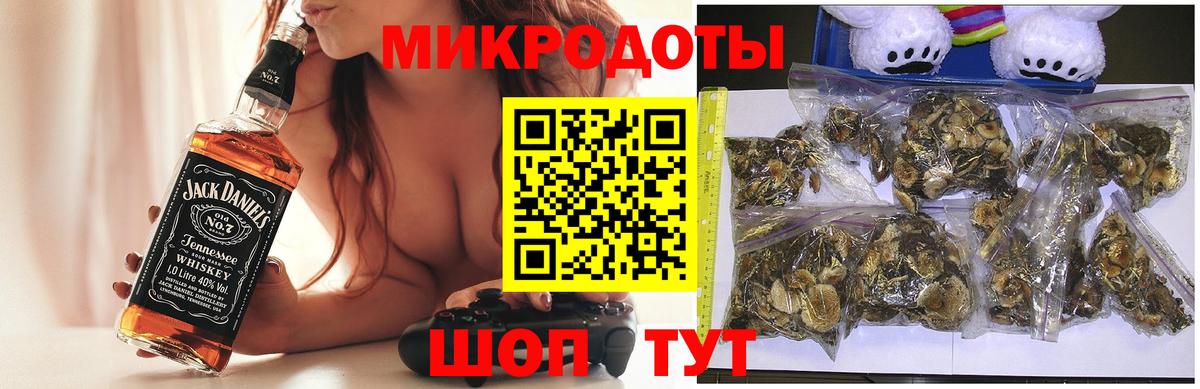 Галлюциногенные грибы Psilocybine cubensis Кулебаки